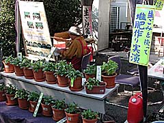 関地区祭「リサイクル植木」