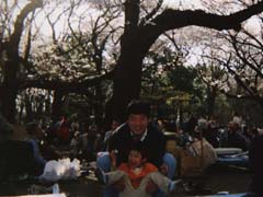 石神井公園、沖寿司のお花見会