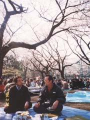 石神井公園、沖寿司のお花見会